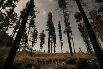 Artenara Trail 2022/Carlos Recio.